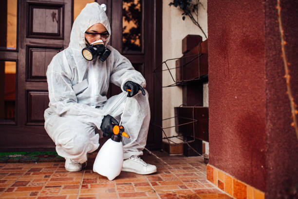 Reliable Termite Control contractor in San Miguel, CA by Nex Pest Control